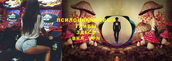 ALPHA PVP Заводоуковск
