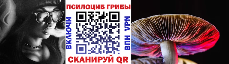 Псилоцибиновые грибы ЛСД  Кизилюрт 